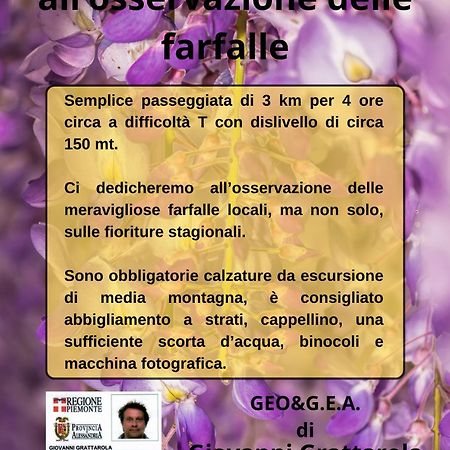 B&B Il Glicine Molare Cremolino Extérieur photo
